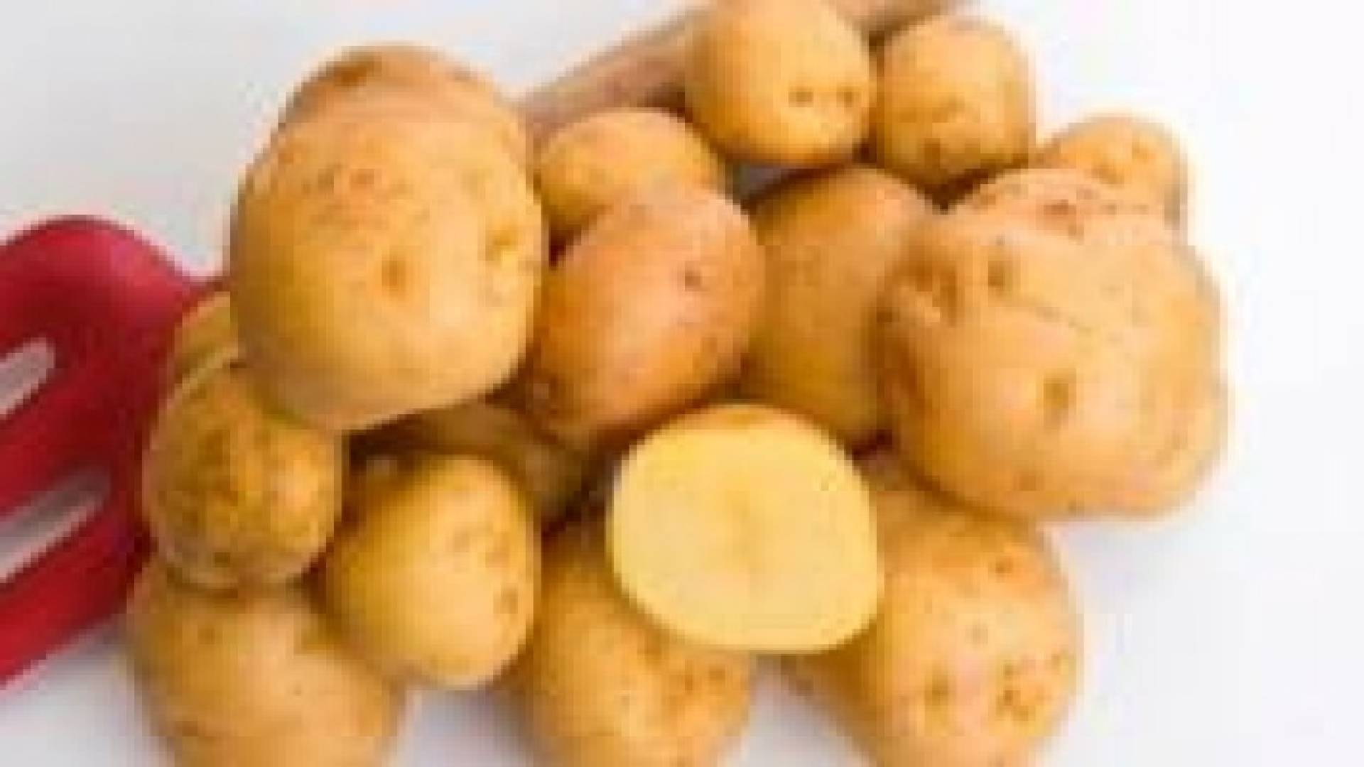 علماء أمريكيون: البطاطا تهدد صحة الحوامل