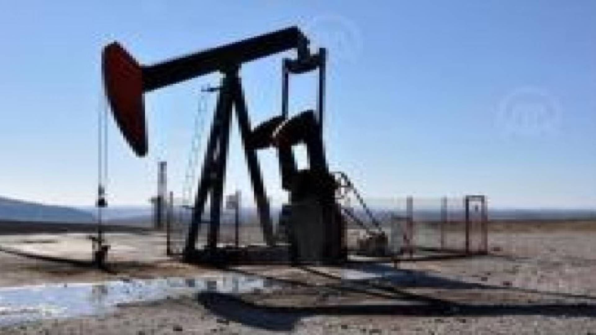 الخام الأمريكي يهبط لأدنى مستوى منذ 2003