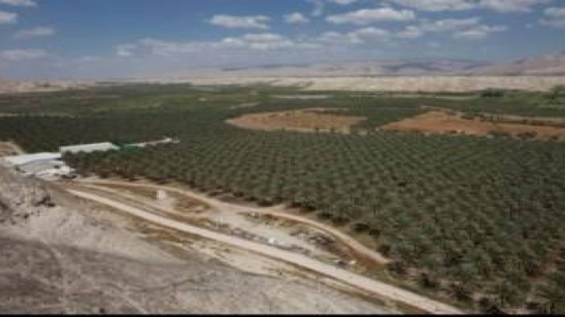 رفض منح فلسطينيين باعوا ارضهم لمستوطنين اللجوء