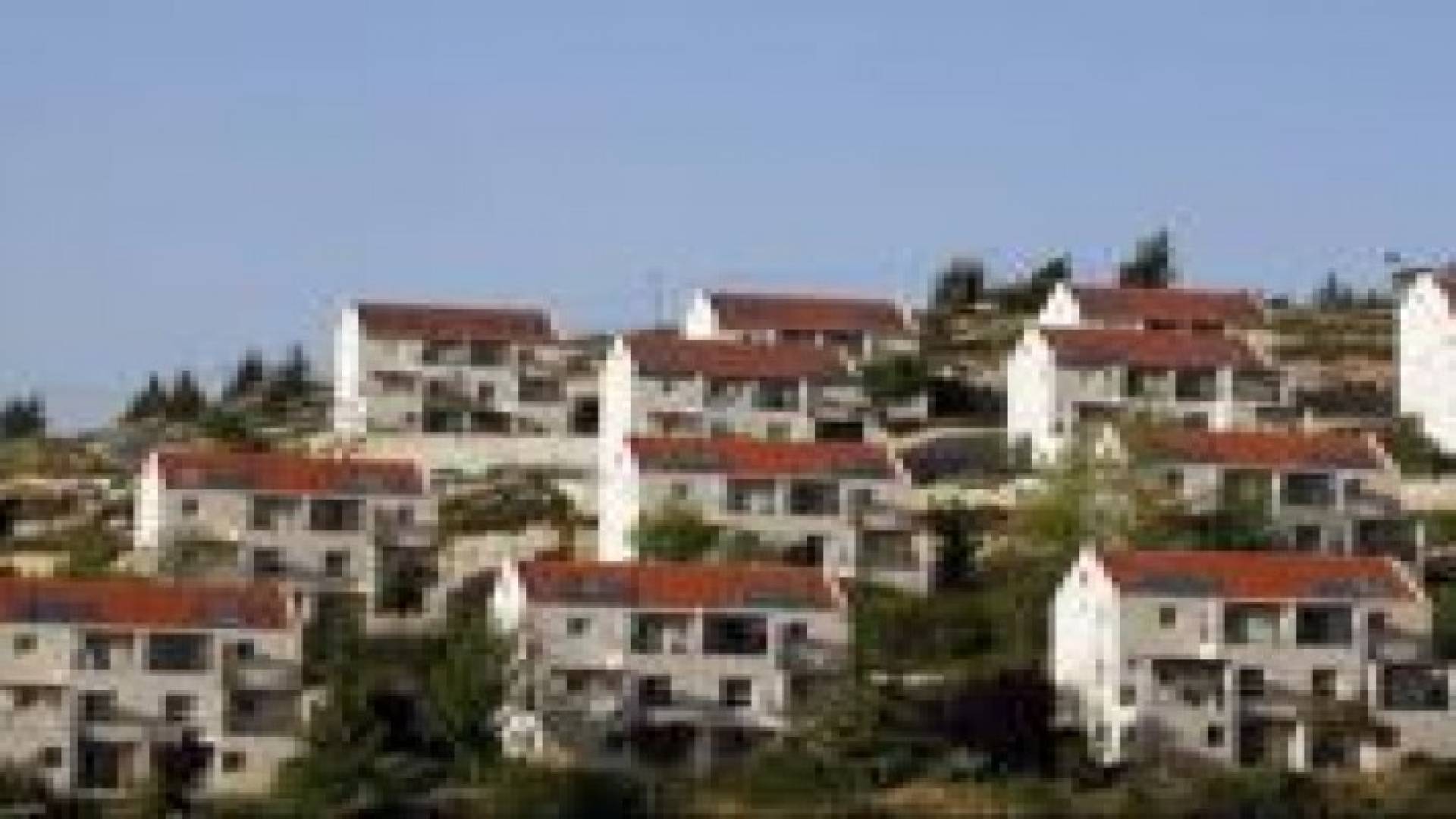 تقرير: عدد المستوطنين بسلفيت يتجاوز الفلسطينيين