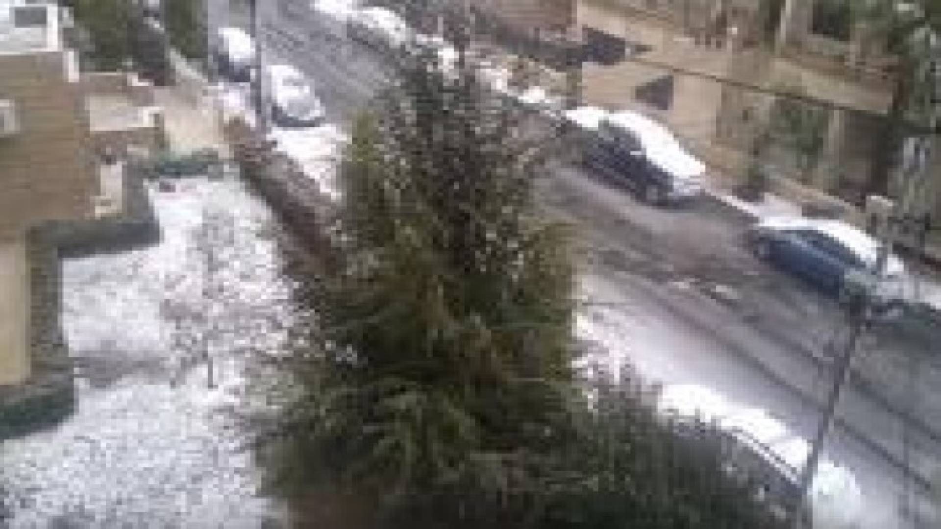 بالفيديو: تساقط الثلوج في ضاحية الرشيد