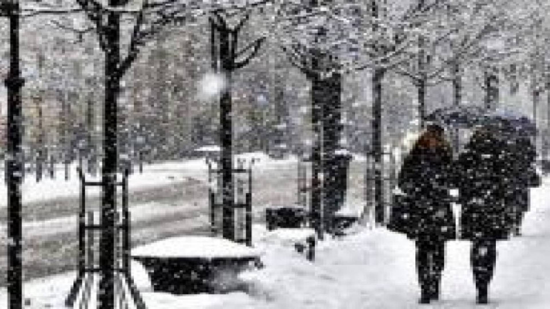 نصائح صحية هامة أثناء المنخفضات الجوية