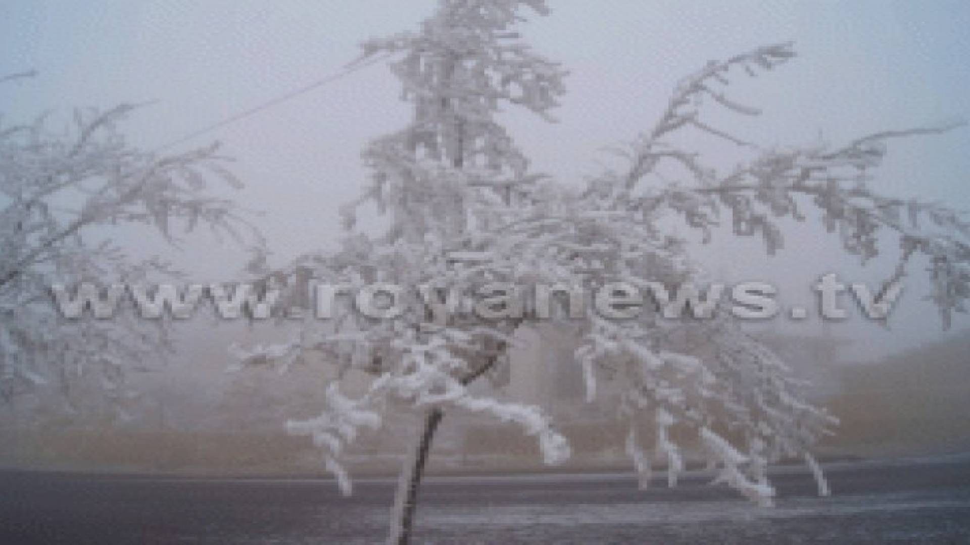 تحذر من الصقيع في الاغوار الوسطى