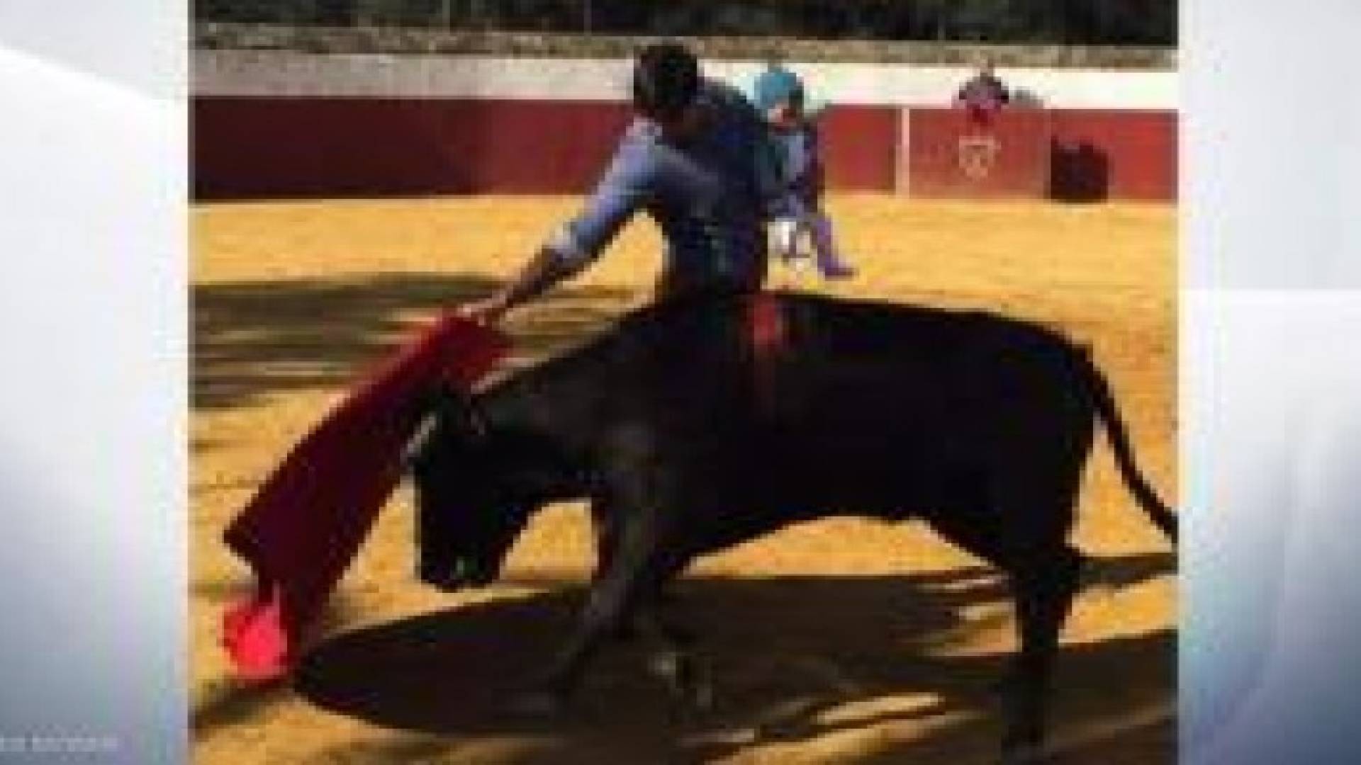 ماتادور يحمل طفلته بيد ويصارع ثورا بيد