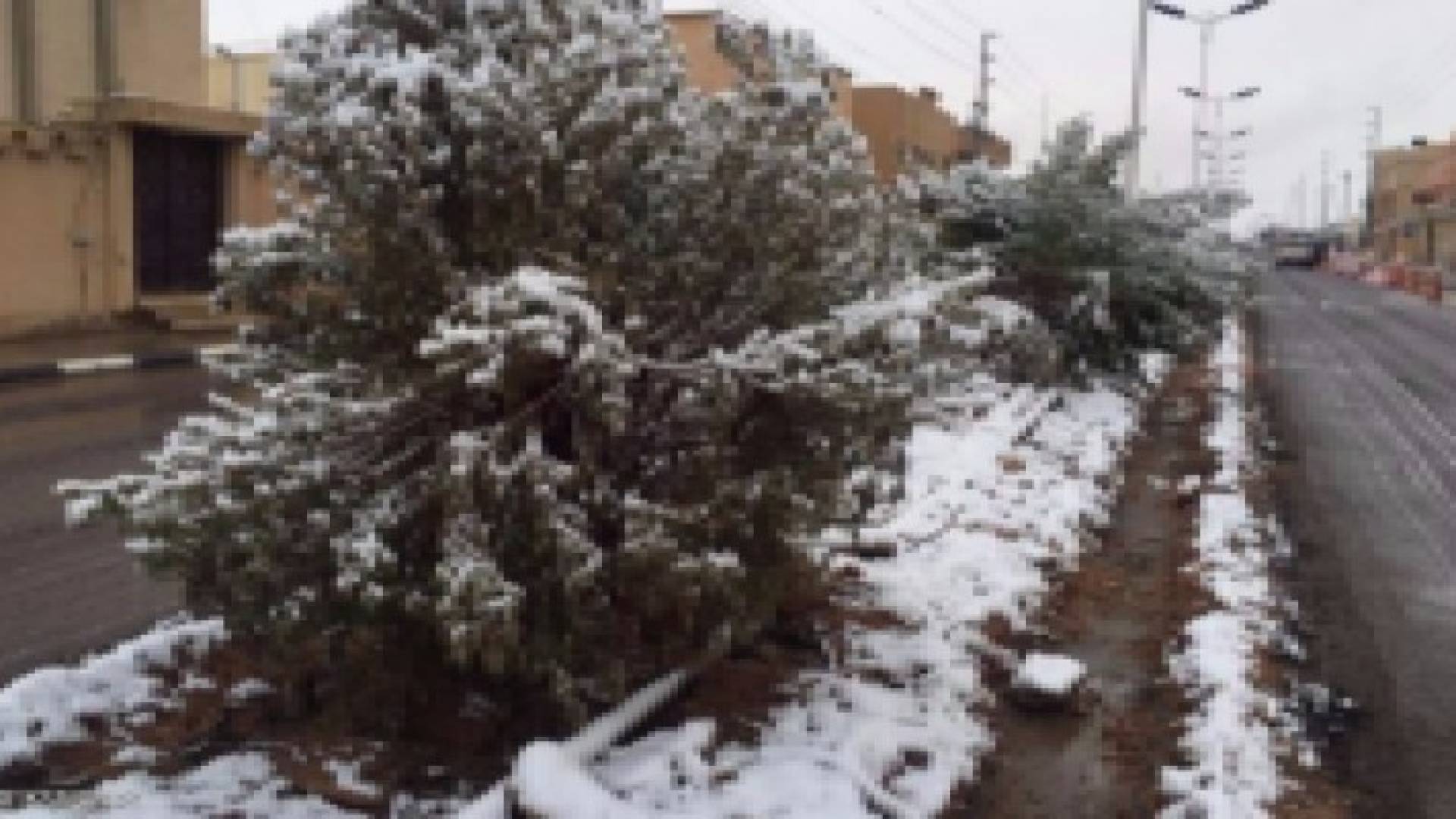 تعليق الدراسة بمناطق الشمال في السعودية بسبب الثلوج