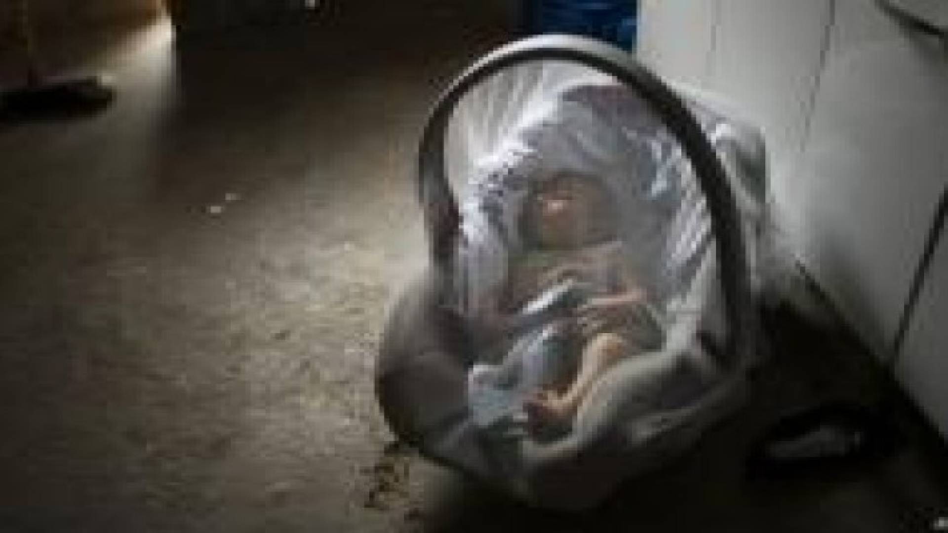 10 طرق تحميك من فيروس زيكا