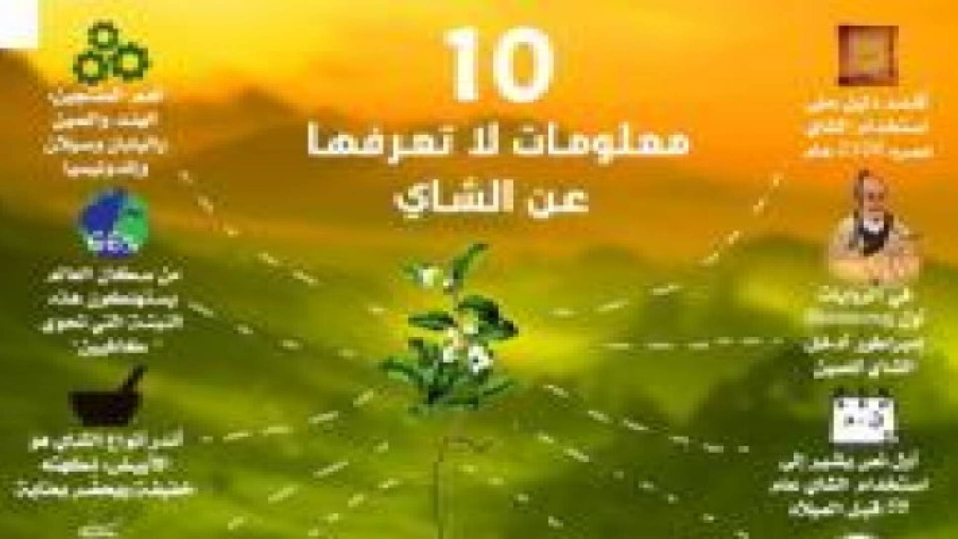إنفوغرافيك: 10 معلومات لا تعرفها عن الشاي
