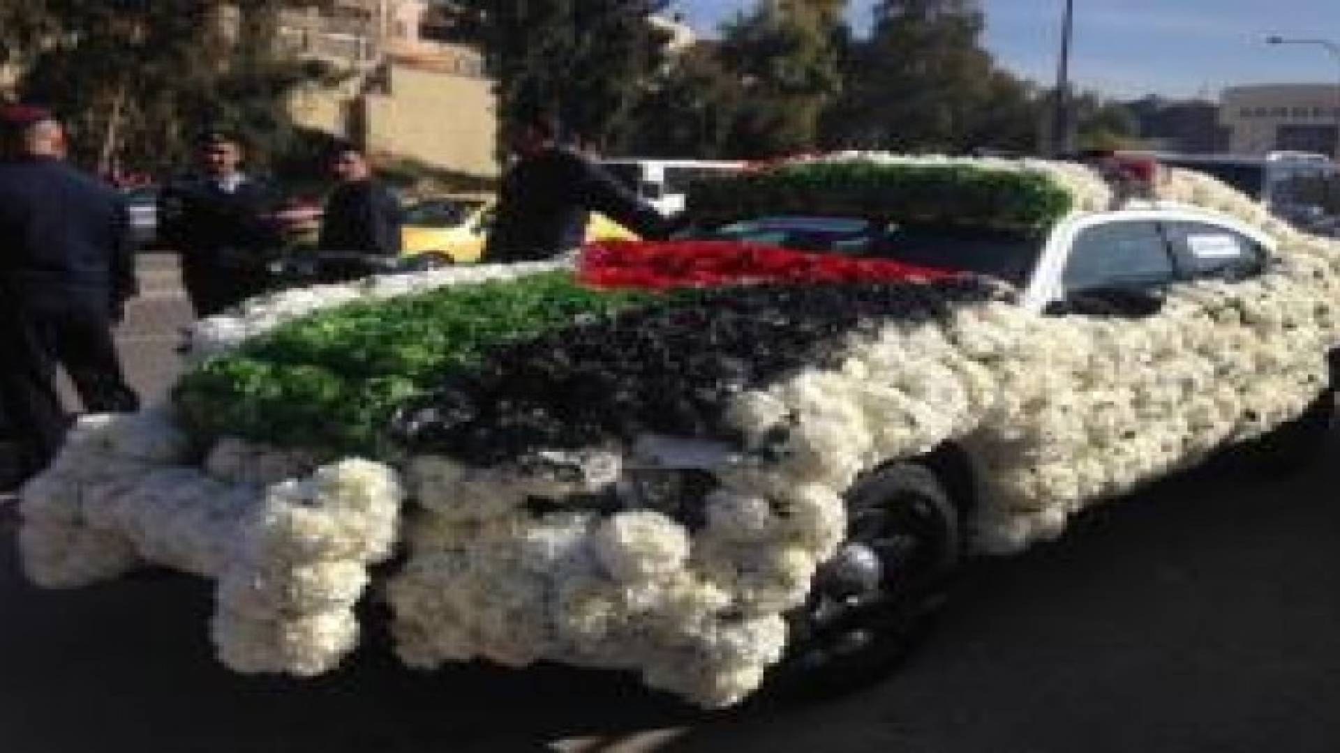 مركبات السير المركزية تتزين بالورود احتفالا بميلاد الملك .. صور