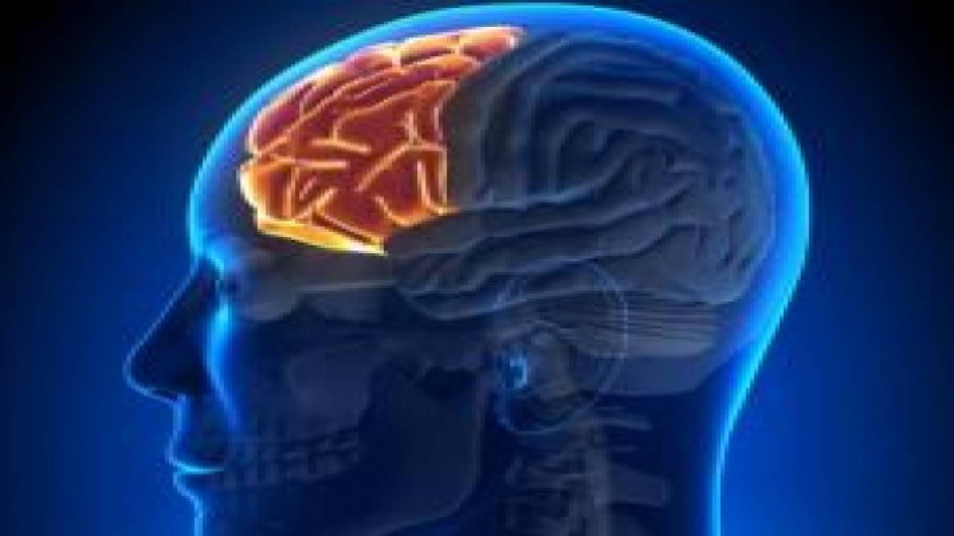 العلماء يحددون تأثير الكحول في دماغ المراهقين والشباب