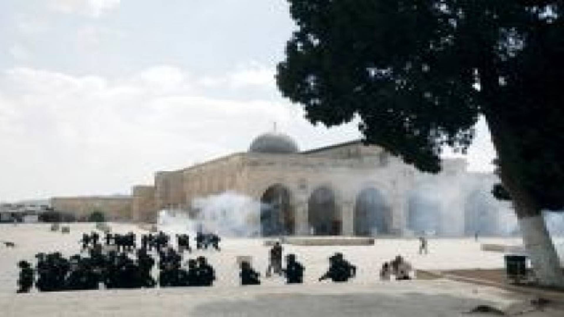 مستوطنون متطرفون يقتحمون باحات الاقصى