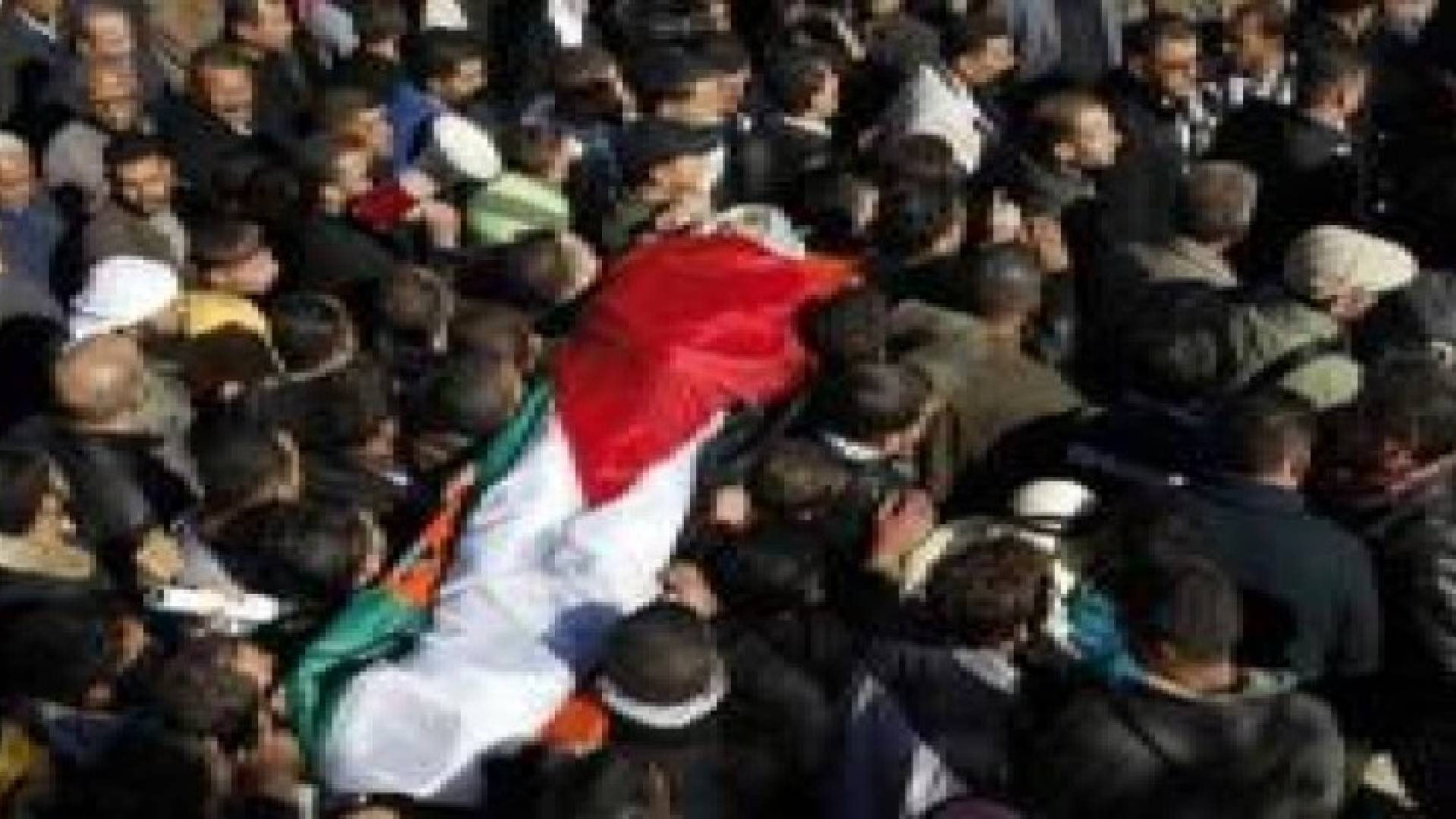 22 شهيدا فلسطينيا الشهر الحالي