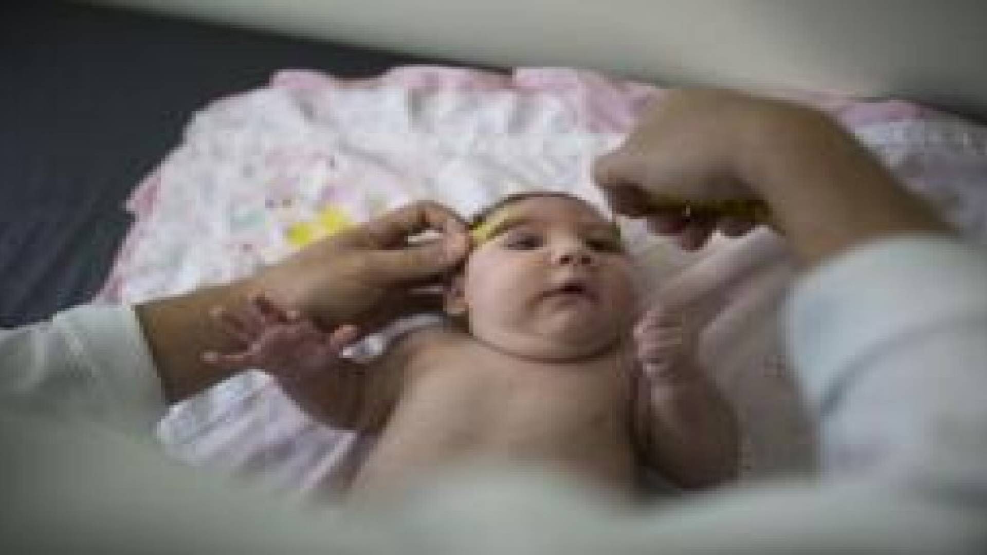 هل الأردن في مأمن من فيروس " زيكا " المرعب ؟