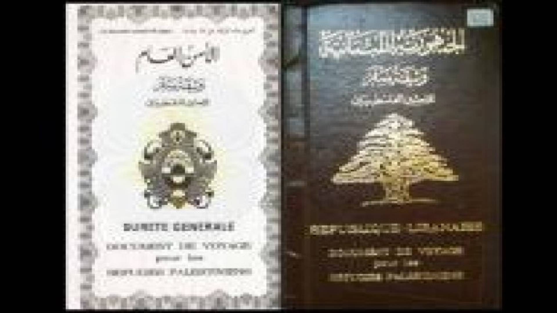 لبنان يصدر وثائق سفر مقروءة آليا للاجئين الفلسطينيين