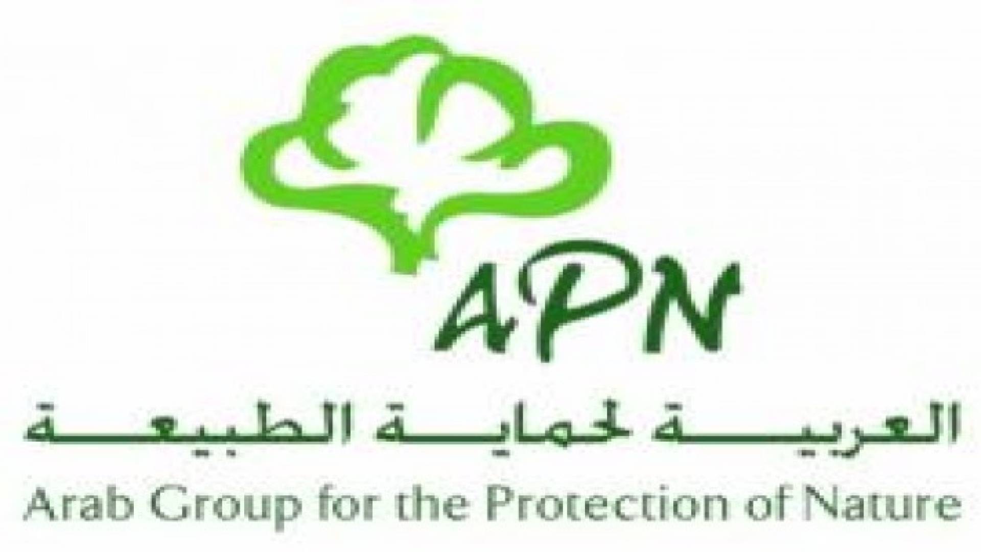أمل الدباس ونداء شرارة وعامر وريكات يشاركون في عمل تطوعي
