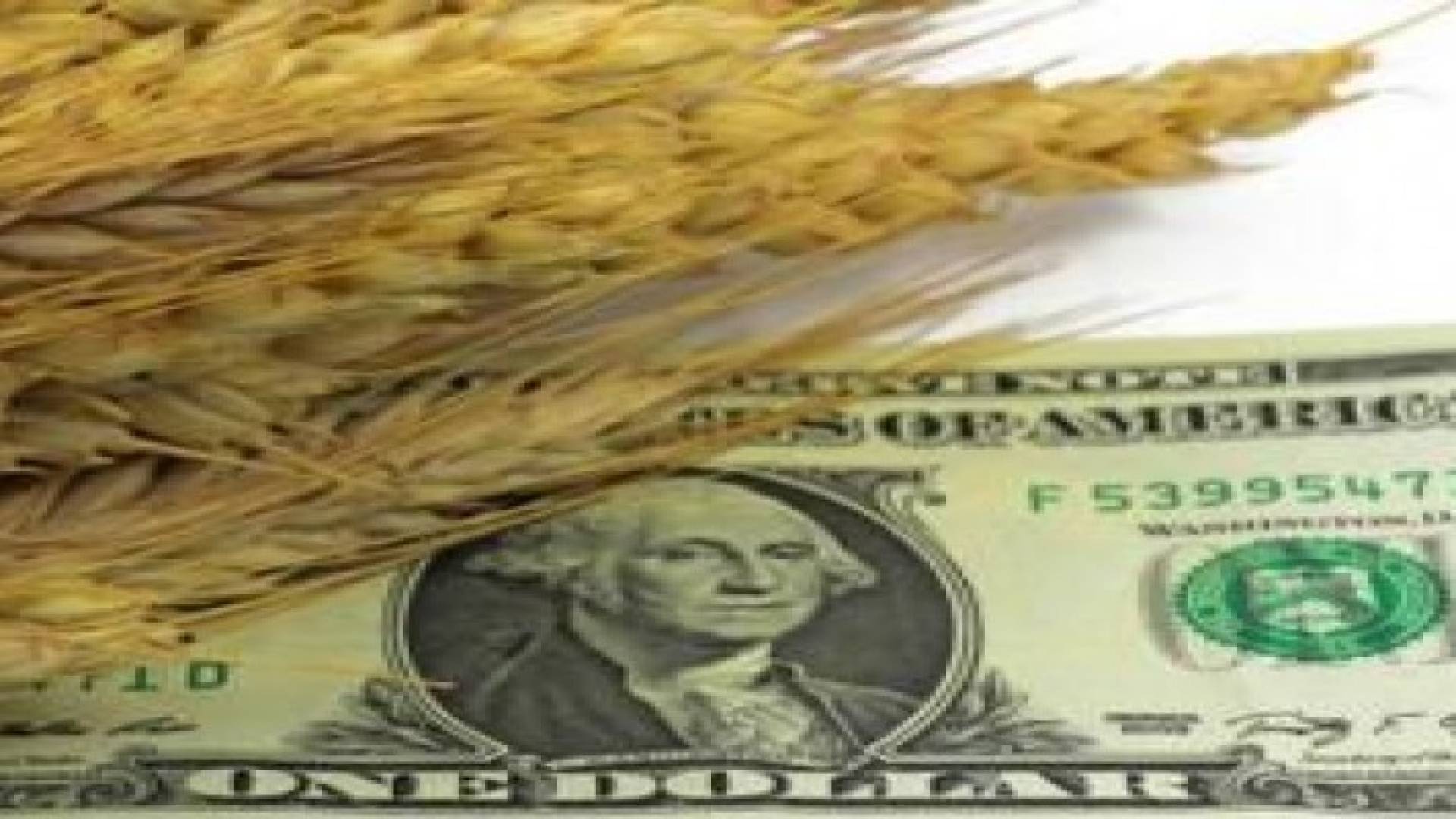 أسعار الغذاء العالمية تواصل الهبوط في 2016
