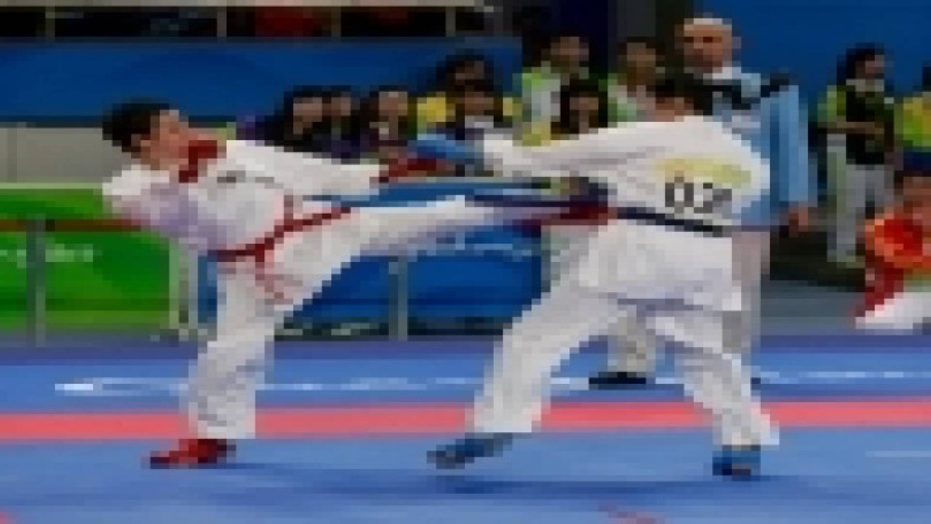 تعيين منار شعث عضوا في مجلس ادارة اتحاد الكراتيه