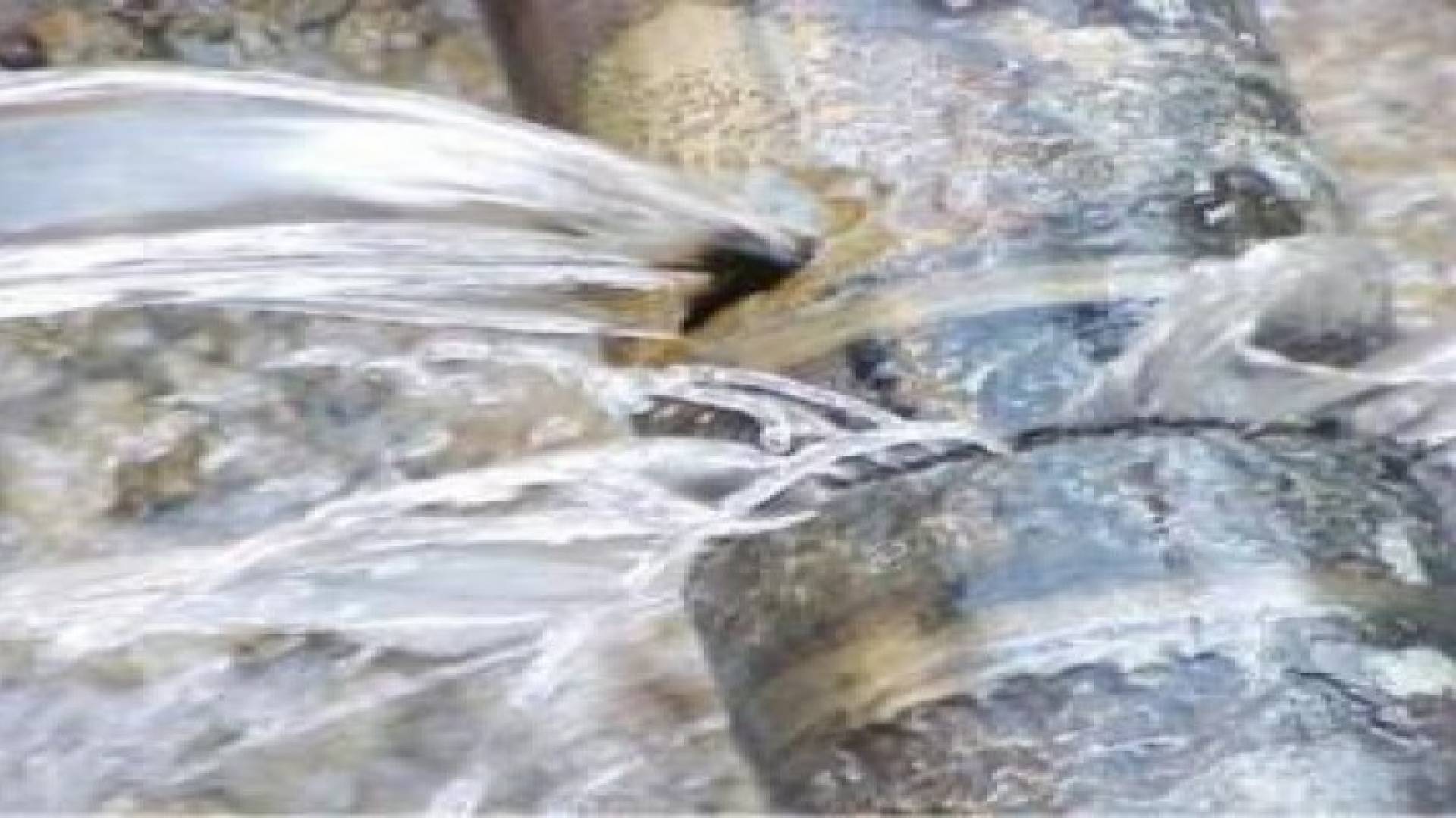 20478 اعتداء على خطوط المياه