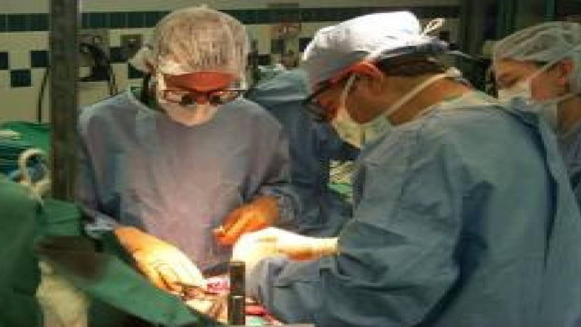 25 % نسبة زيادة عمليات زراعة الاعضاء بالاردن العام الماضي