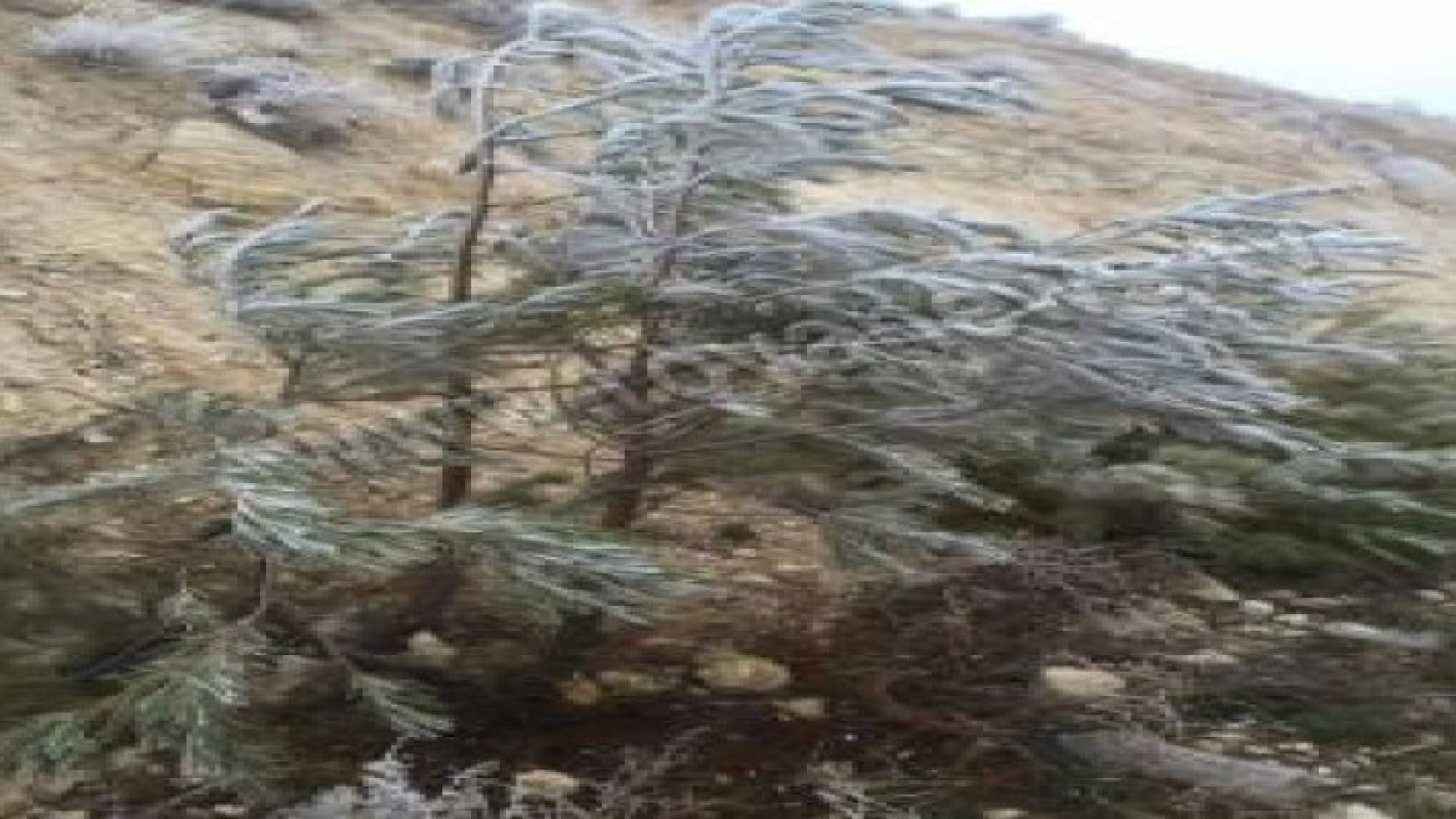 بالصور : ضباب وامطار وأزمة سير في عمان وتجمد في الشوبك