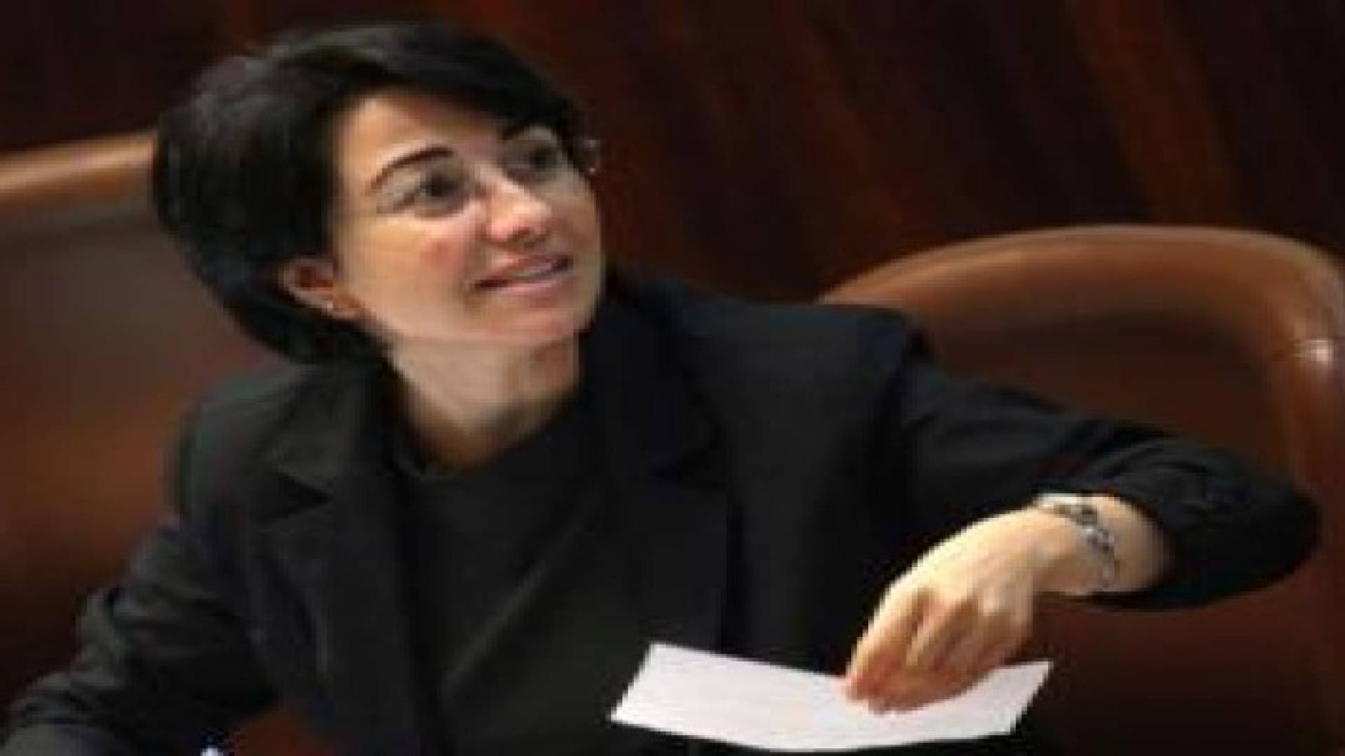 السجن 6 شهور مع وقف التنفيذ على حنين زعبي