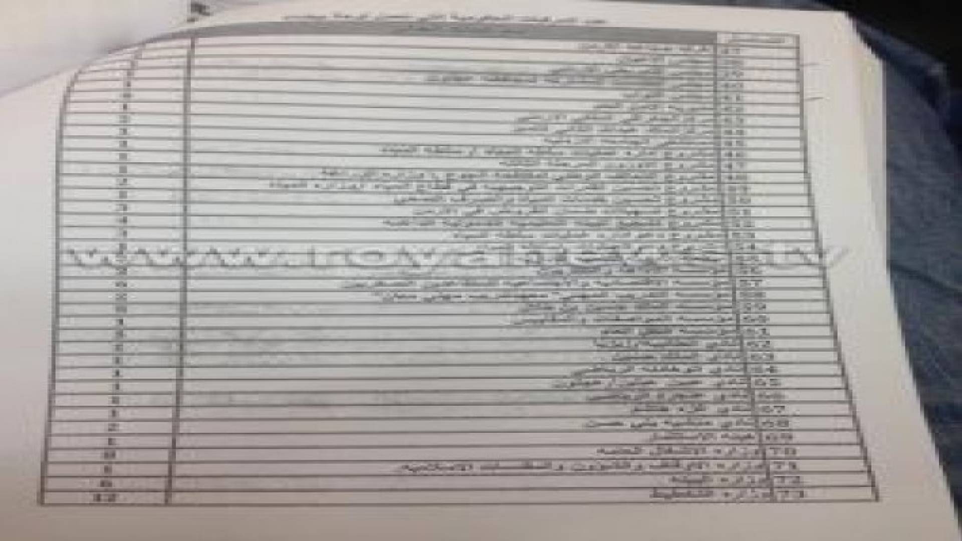 سيارات حكومية بنمر بيضاء .. ارقام وتفاصيل