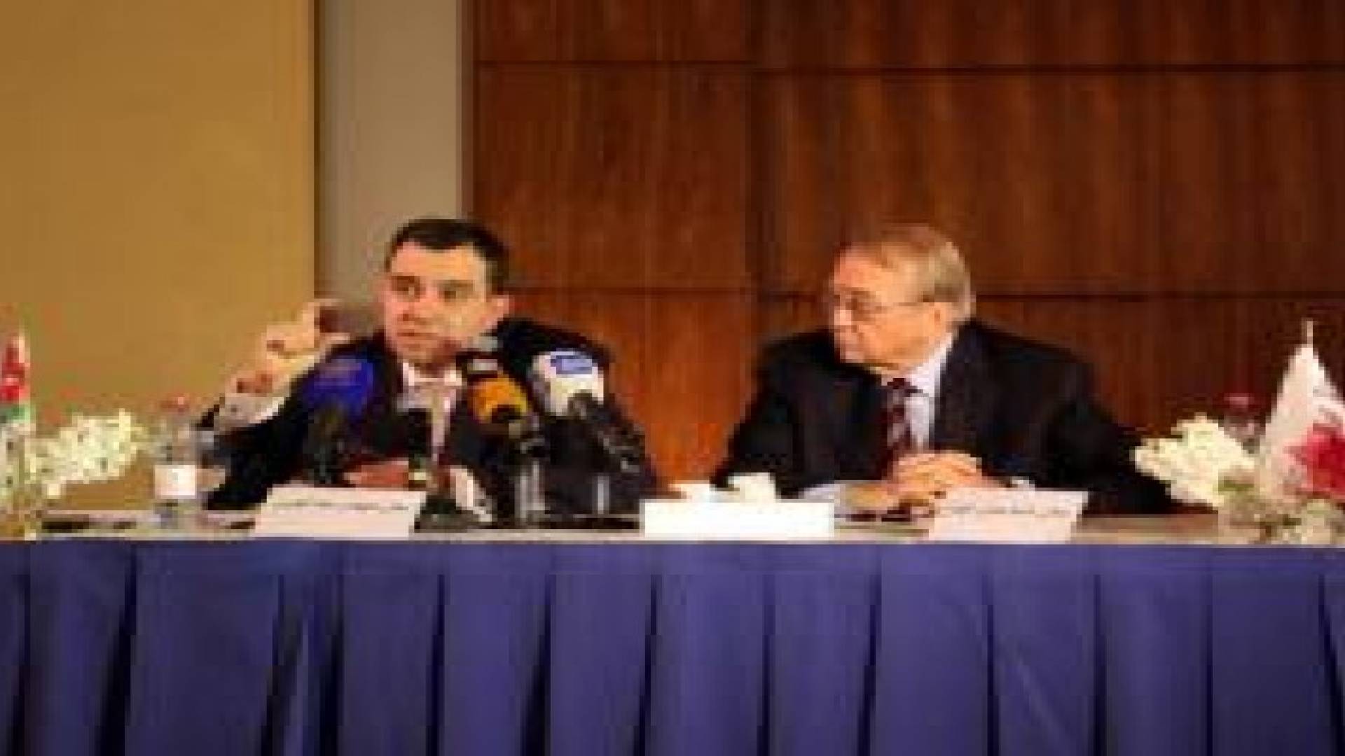 وزير التخطيط: شرعية القيادة حافظت على منعة الاردن وازدهاره