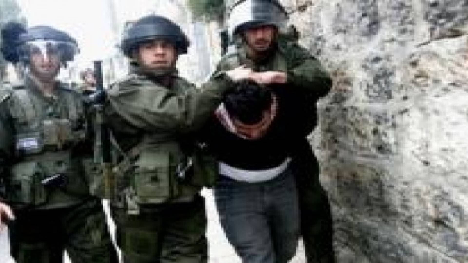 الاحتلال يعتقل 12 فلسطينيا ويضبط سلاحا بالضفة
