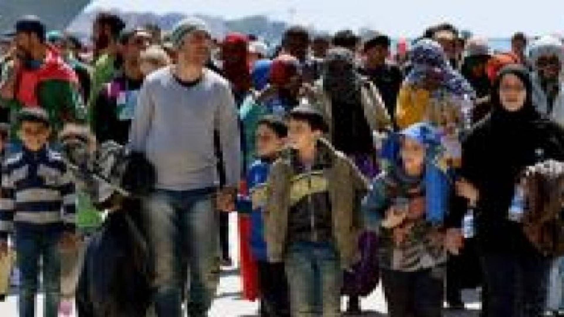 النمسا تقرر ترحيل المهاجرين غير الشرعيين على متن طائرات عسكرية
