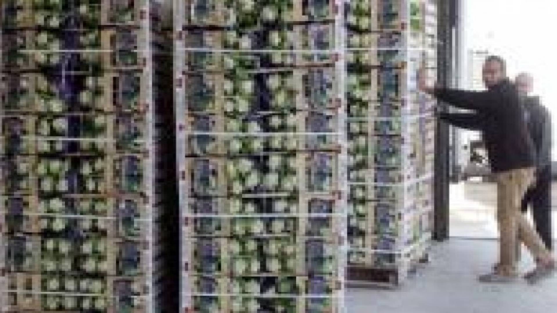 المصدرون الزراعيون يطالبون بالسماح لهم بالتصدير إلى سوريا