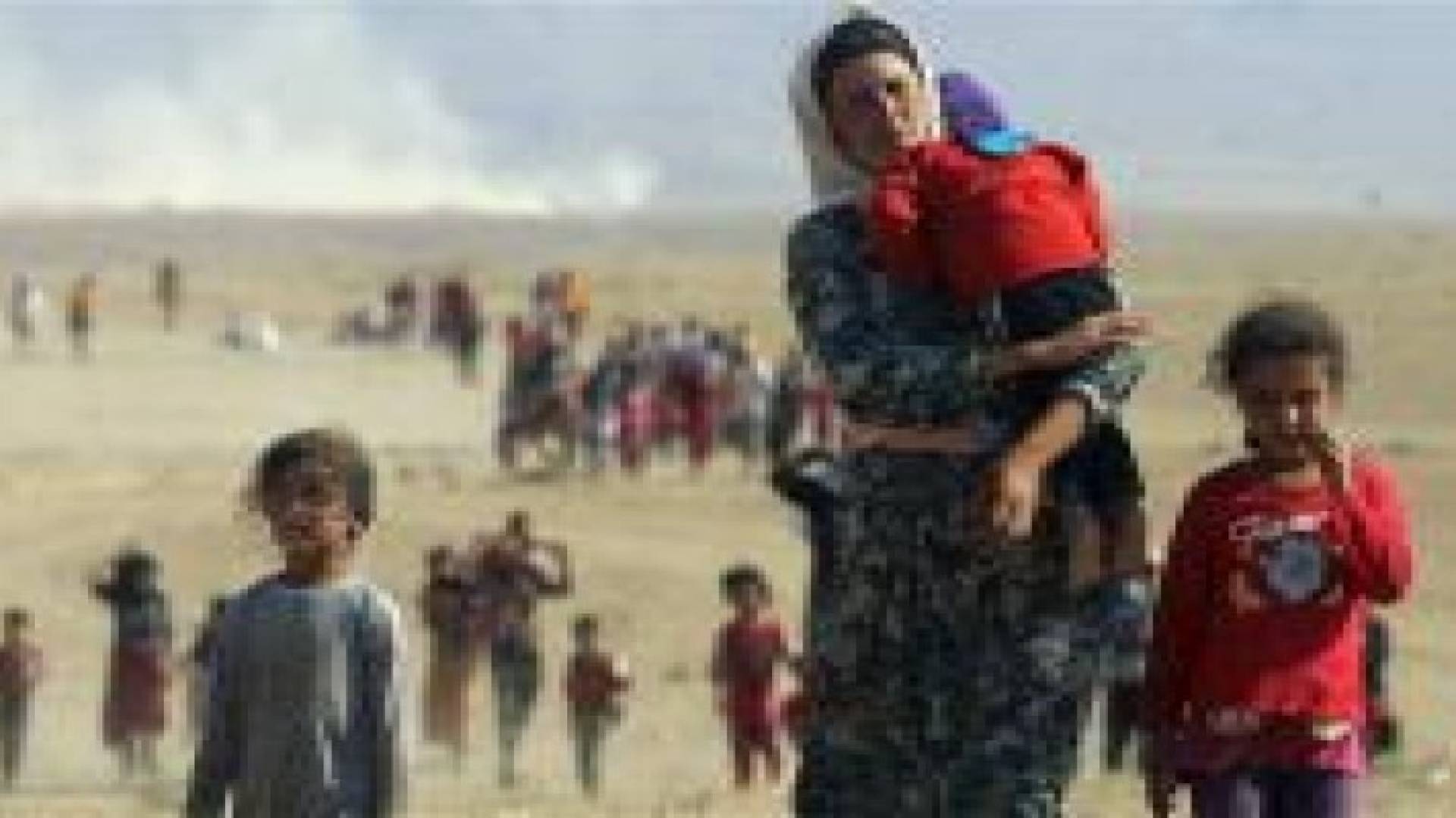 مسؤول اممي لرؤيا : لا مساع  لبناء مخيم حدودي لسوريي الساتر