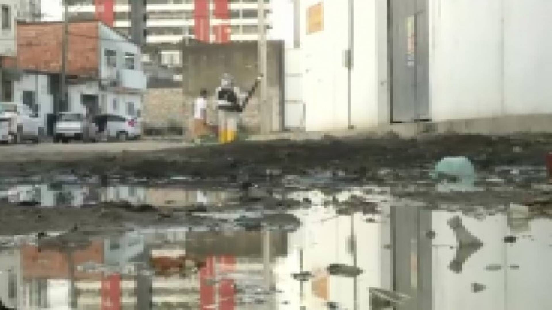 الجيش البرازيلي في حالة تأهب لمحاربة البعوض الناقل لفيروس زيكا
