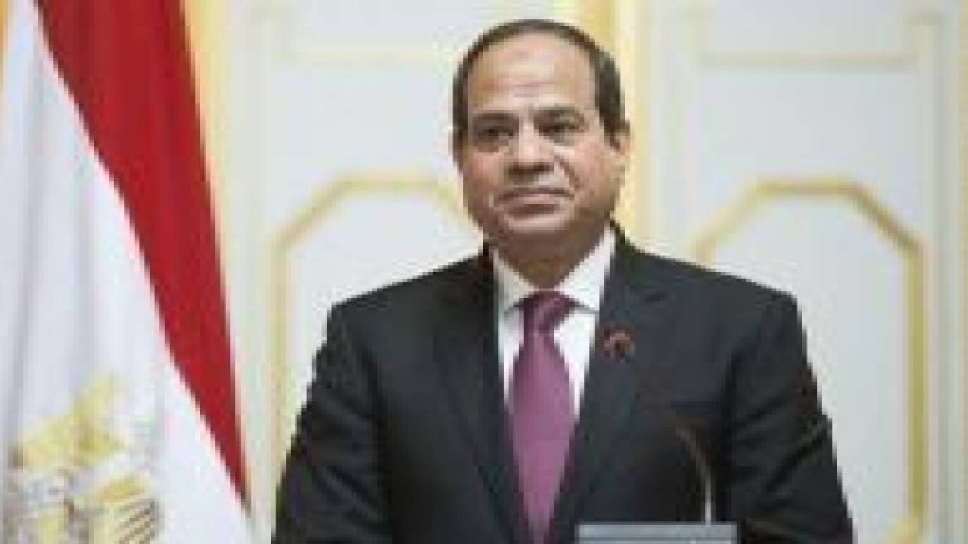 السيسي: نجحنا في إحباط مخطط وإبطال مؤامرة