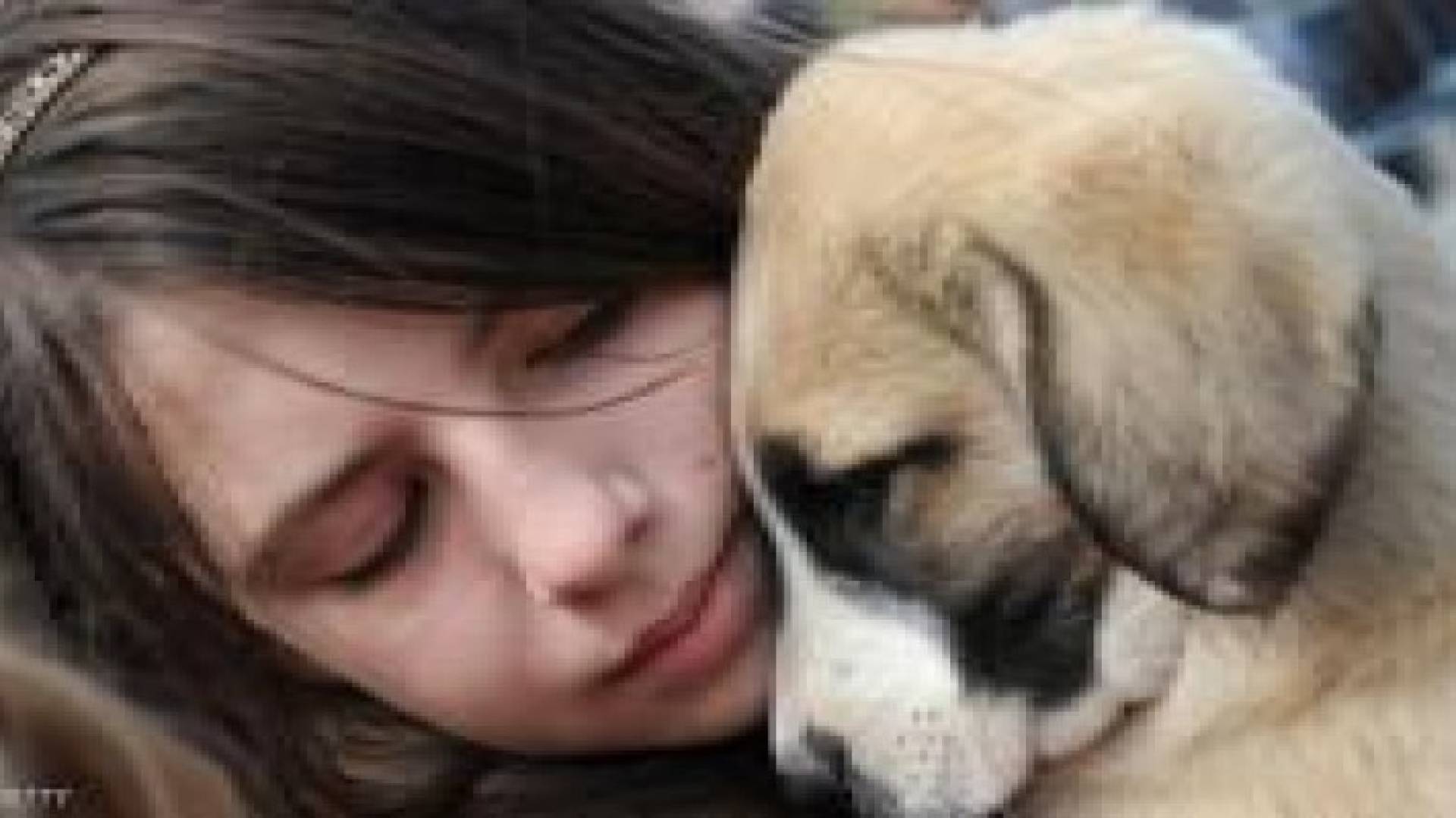 الكلاب "قادرة" على استشعار أحاسيس الإنسان