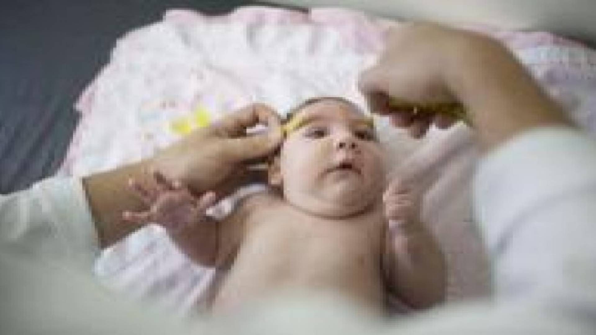 البنك الدولي يقدم 150 مليون لمكافحة فيروس زيكا