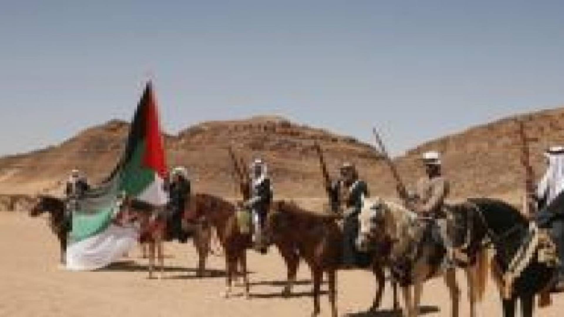 الثورة العربية الكبرى لم تكن ضد "الخلافة" .. تفاصيل