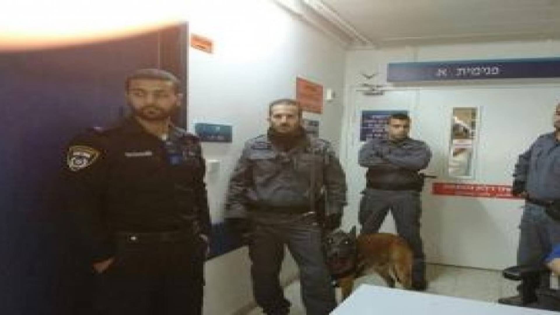 وحدات خاصة إسرائيلية وكلاب بوليسية تقتحم العفولة