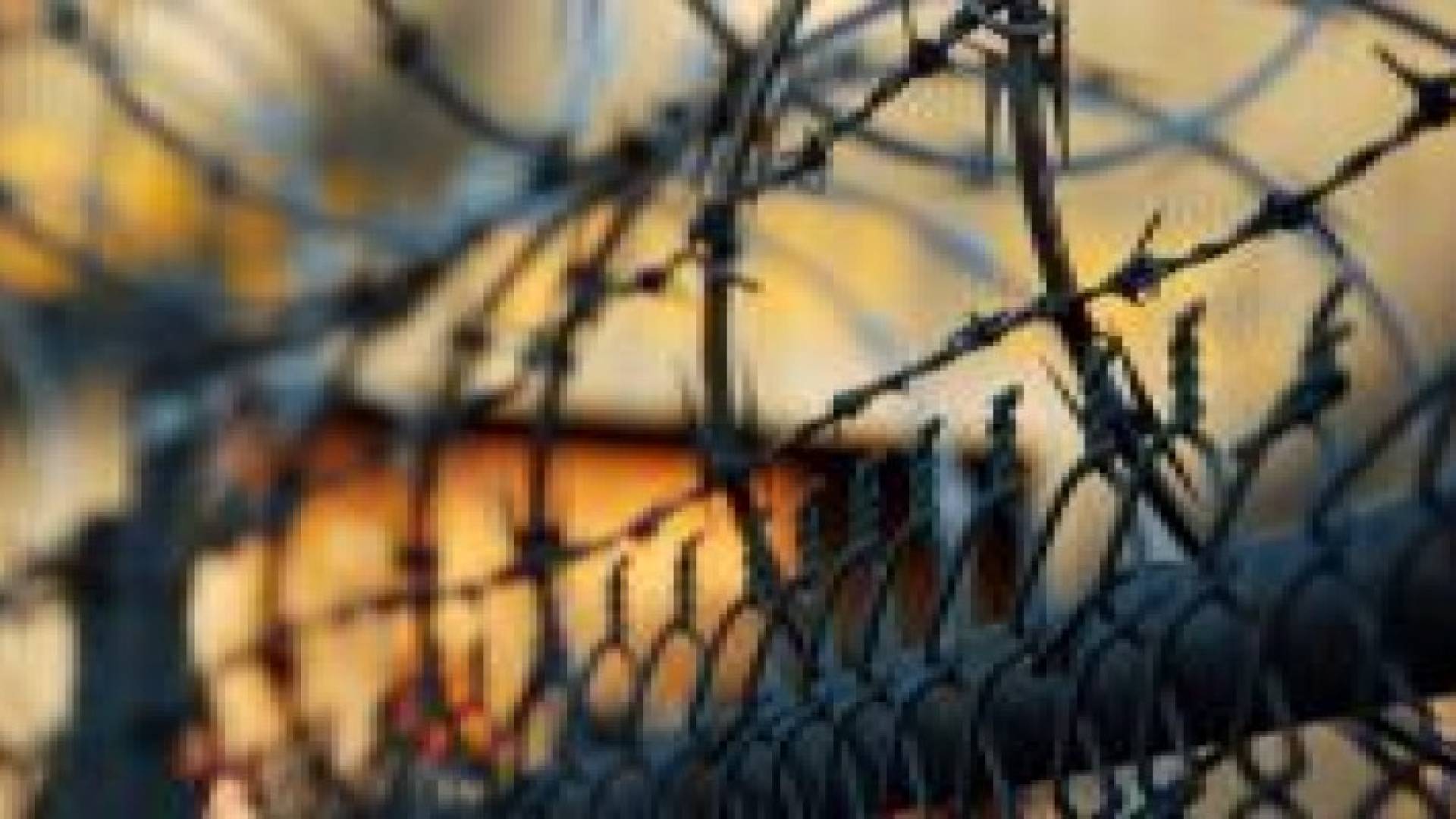 ثلاثة من مديري سجن مكسيكي قد يحكمون بالسجن 1200 سنة