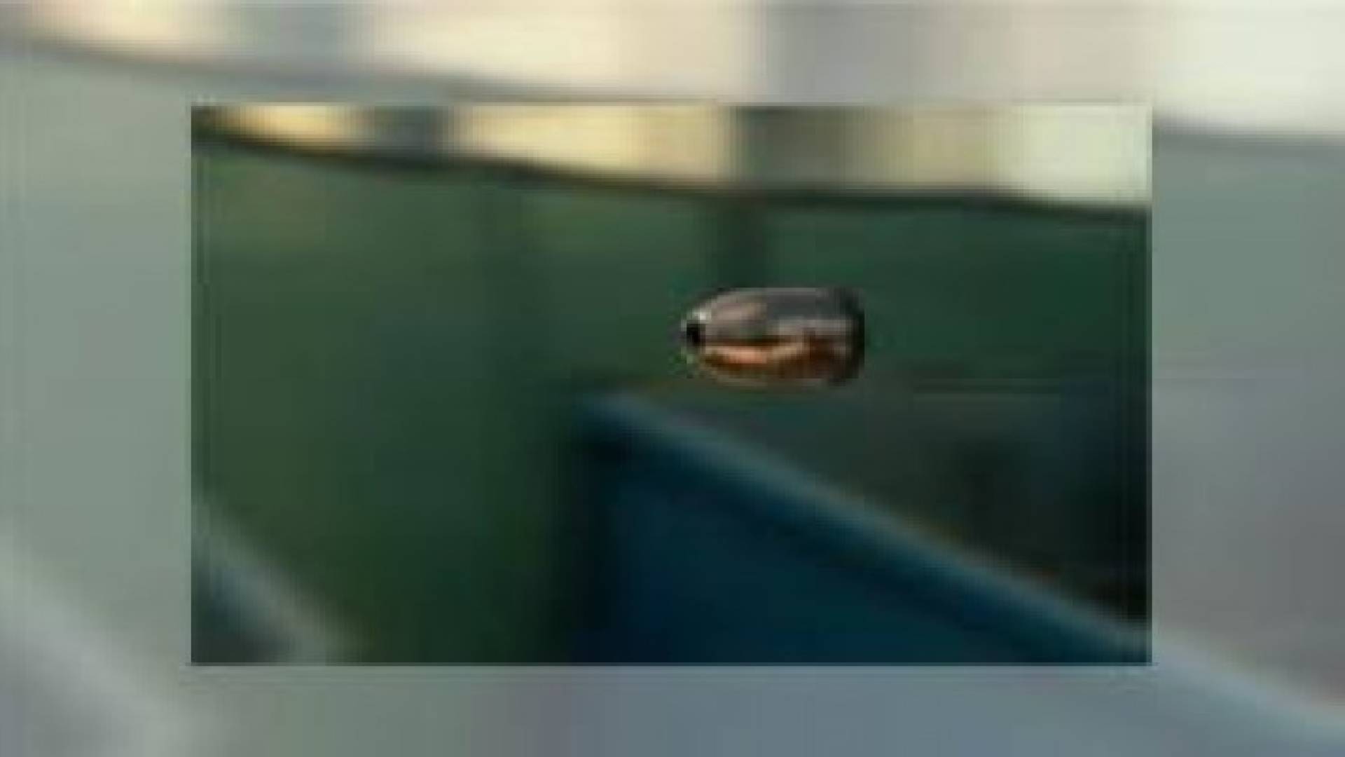 اصابة اربعينية برصاصة طائشة في اربد