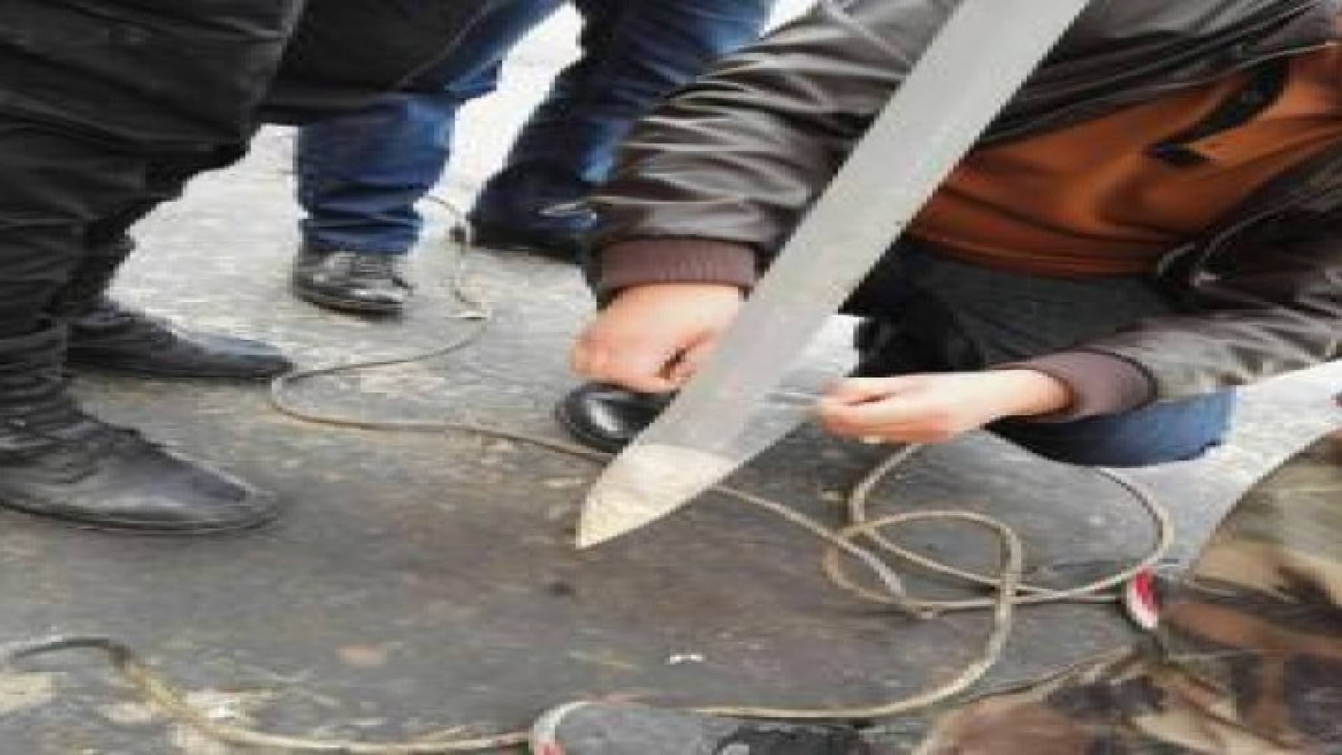 احباط تهريب أكثر من مليون حبة مخدرة والقبض على المتورطين .. صور وتفاصيل