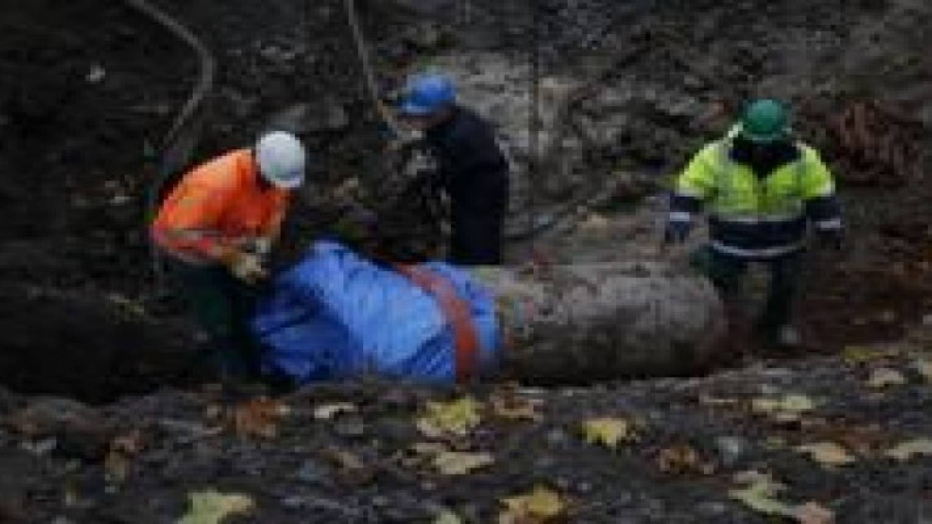 قنبلة من حقبة الحرب العالمية الثانية تتسبب في إجلاء 1600 شخص من مدينة ألمانية