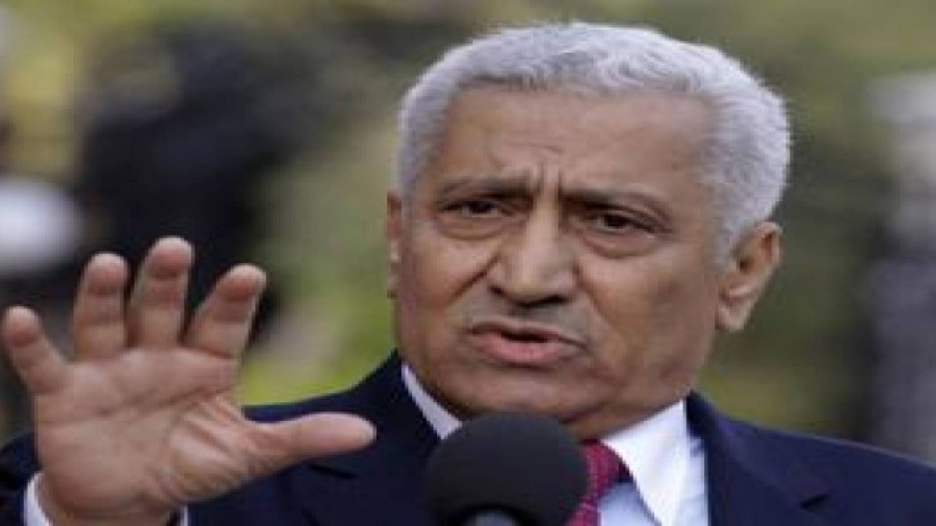 النسور : اللاجئون يشكلون 30 % من سكان الأردن