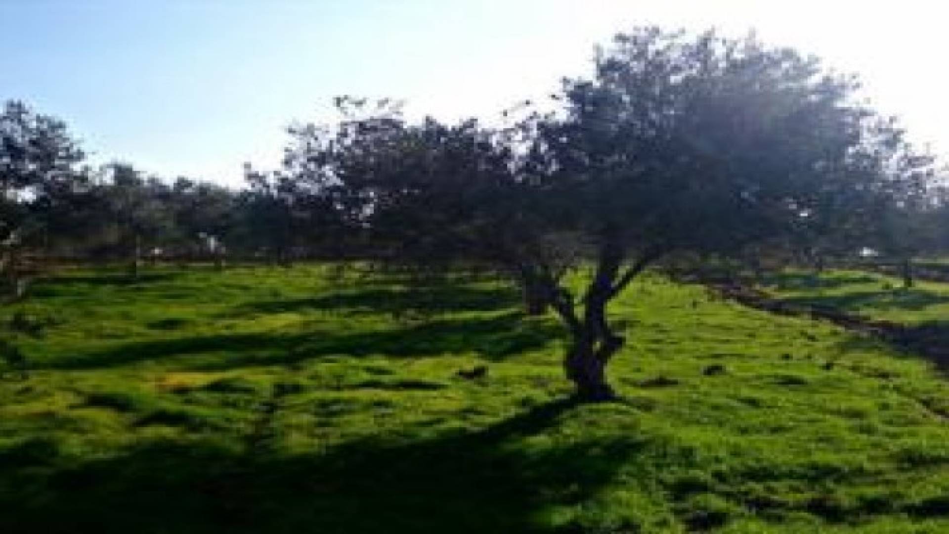 طقس الاثنين: استمرارية للأجواء اللطيفة ونشاط تدريجي للرياح الشرقية