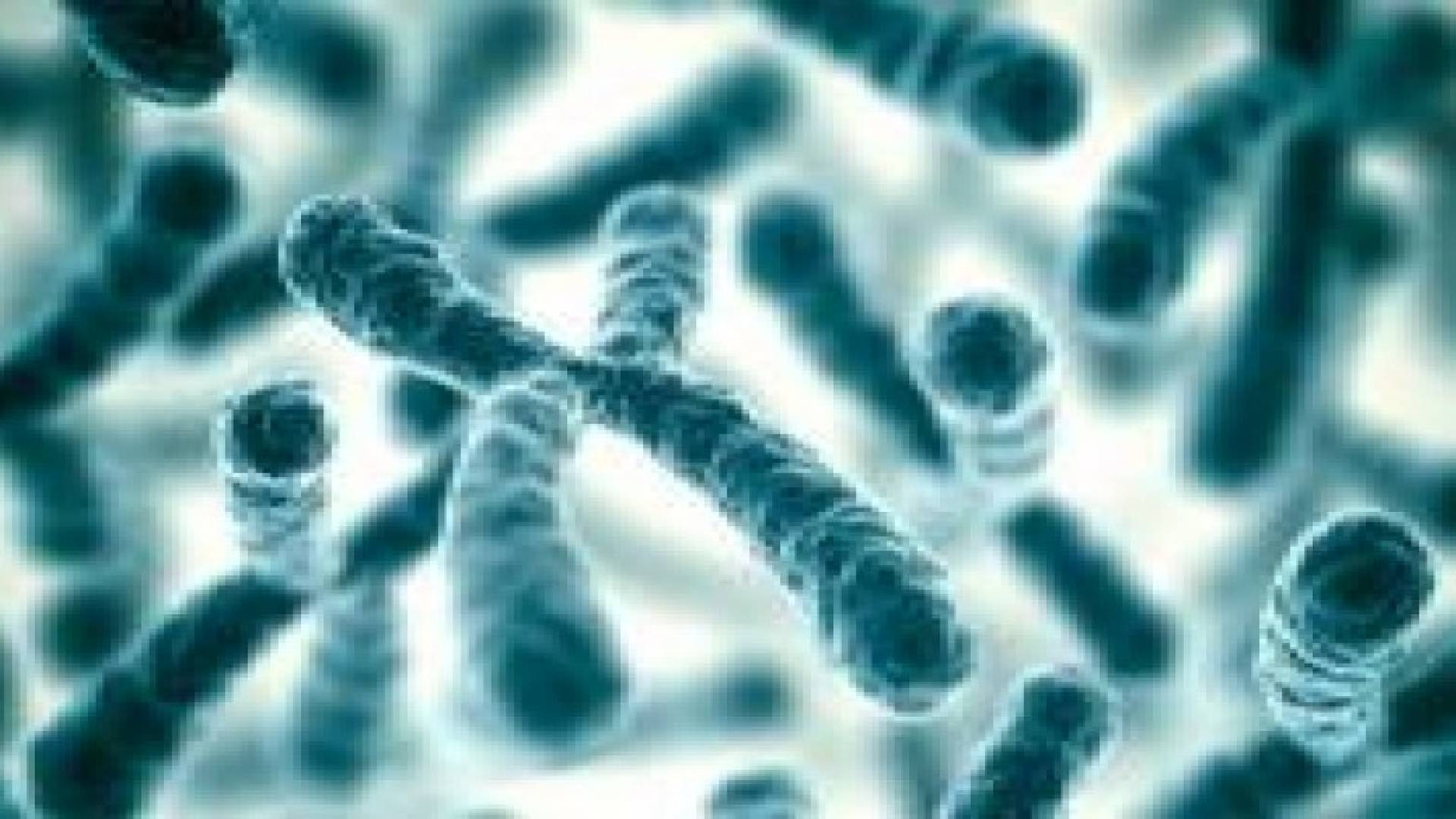 دراسة: الصبر يطيل العمر