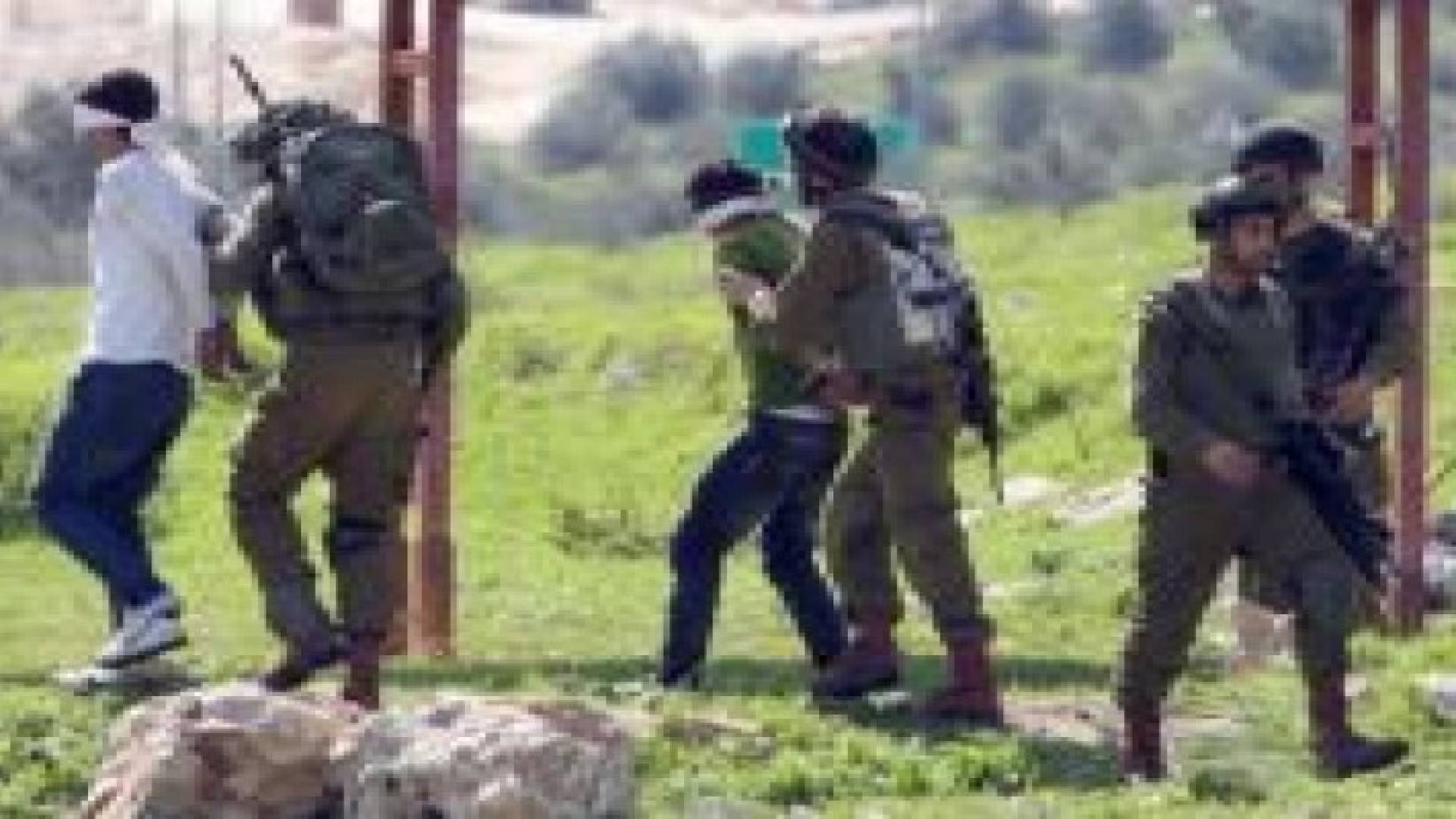 الاحتلال يعتقل 8 مواطنين من الضفة