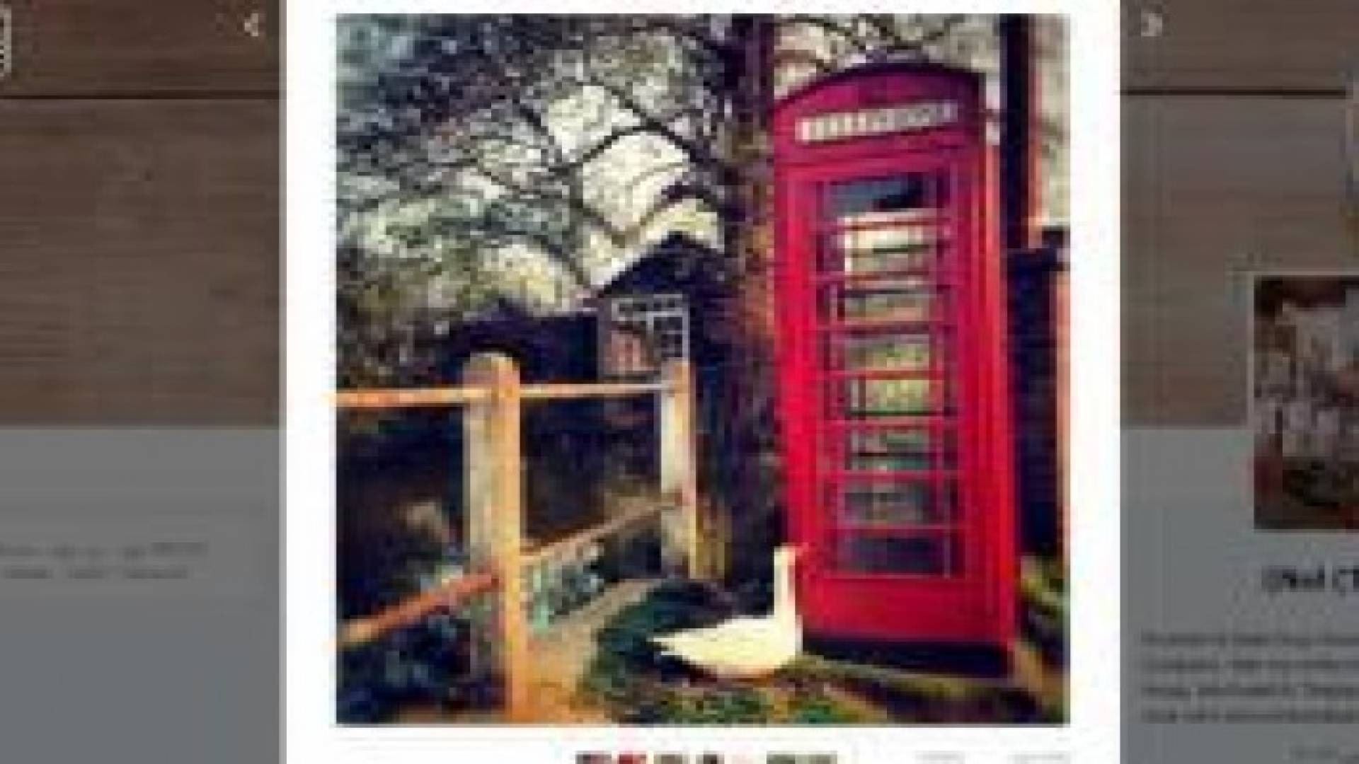 بريطانيون يخصصون 380 الف دولار لمن يكشف هوية قاتل إوزة!!