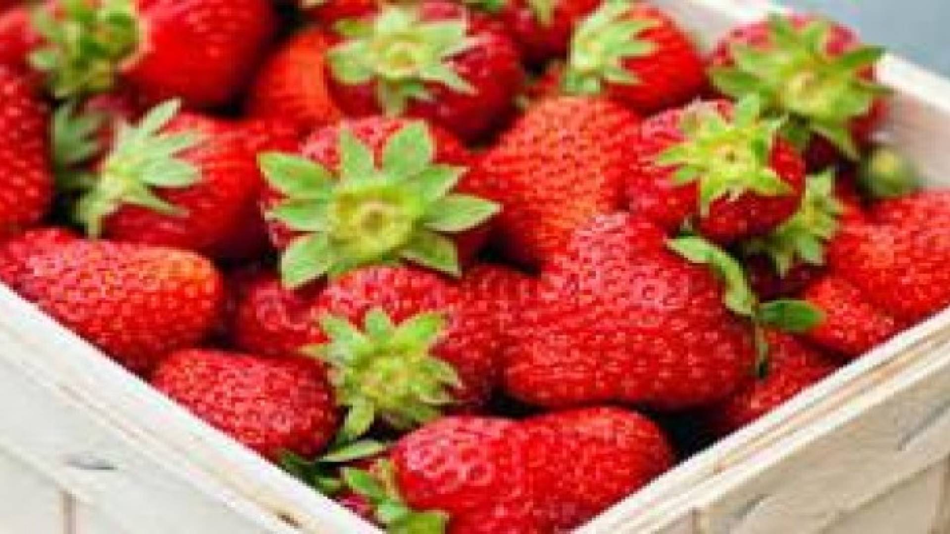 الفراولة تقي من السرطان