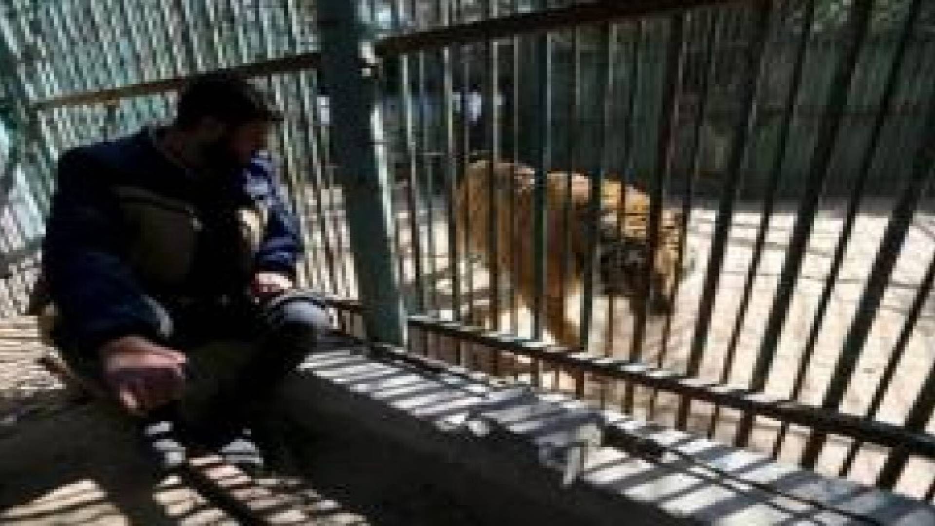 عرض حيوانات تتضور جوعا للبيع في حديقة حيوان غزة