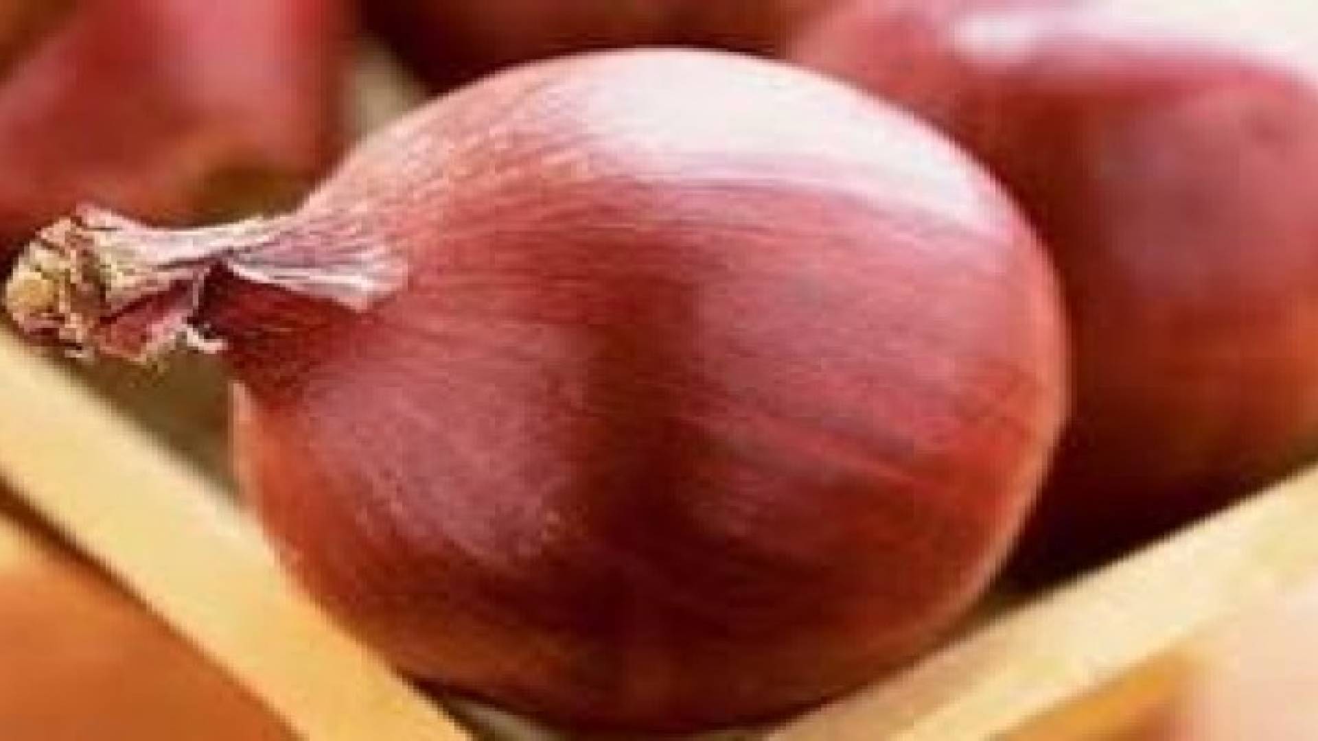 المزارعون يشكون من تدني أسعار البصل
