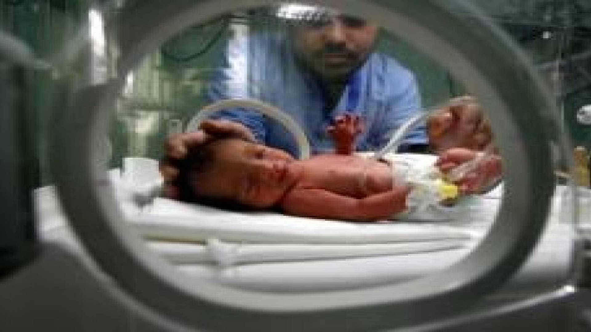 172 مولودا جديدا في قطاع غزة يوميا