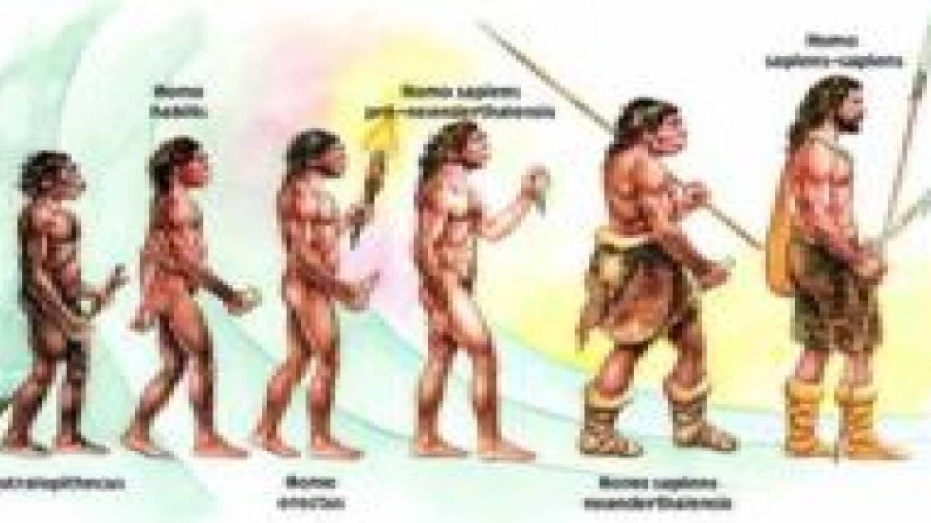 مفاجأة.. ماذا فعل أكل اللحوم بالإنسان القديم؟